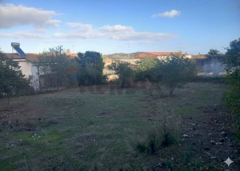 Giardino - Terreno edificabile Via Grazia Deledda
10, Siliqua - foto 15