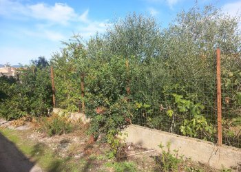 Giardino - Terreno edificabile Via Grazia Deledda
10, Siliqua - foto 21
