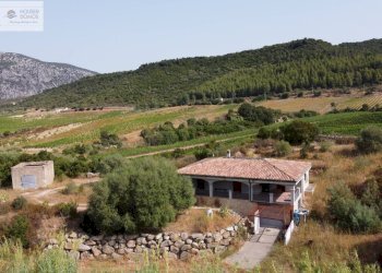 Foto 2 - Independent house Dorgali - photo 2