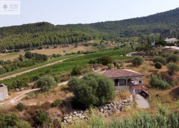 Foto 43 - Independent house Dorgali - photo 43