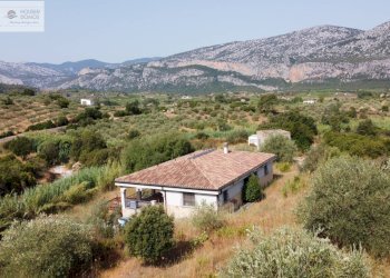 Foto 46 - Independent house Dorgali - photo 46