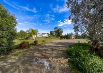 Terreno - Villa contrada Ischera, Casarano - foto 4