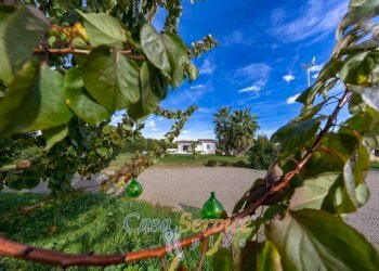 Giardino - Villa contrada Ischera, Casarano - foto 5