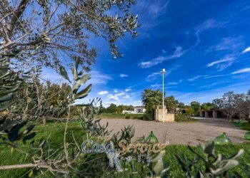 Terreno - Villa contrada Ischera, Casarano - foto 6