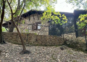 Foto 4 - Villa Via Barbarola
 
33, San Giovanni a Piro - photo 4