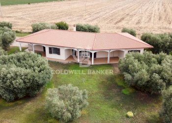 Foto 4 - Villa Località il Sorbo
 
0, Tarquinia - foto 4