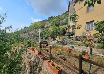 Foto 7 - Apartment via vallebuia, Calci - photo 7