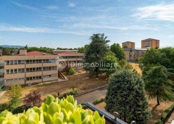Vista - Appartamento via degli Abeti, 33, Torino (zona Falchera) - foto 15