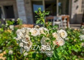 Altro - Villa via Michelangelo Buonarroti, 81, Forte dei Marmi - foto 23