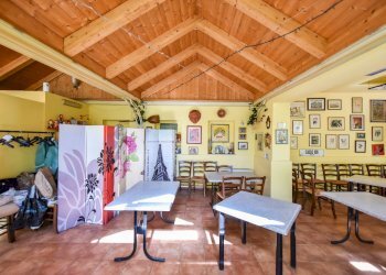 Ristorante Torino (zona Campidoglio) - foto 22