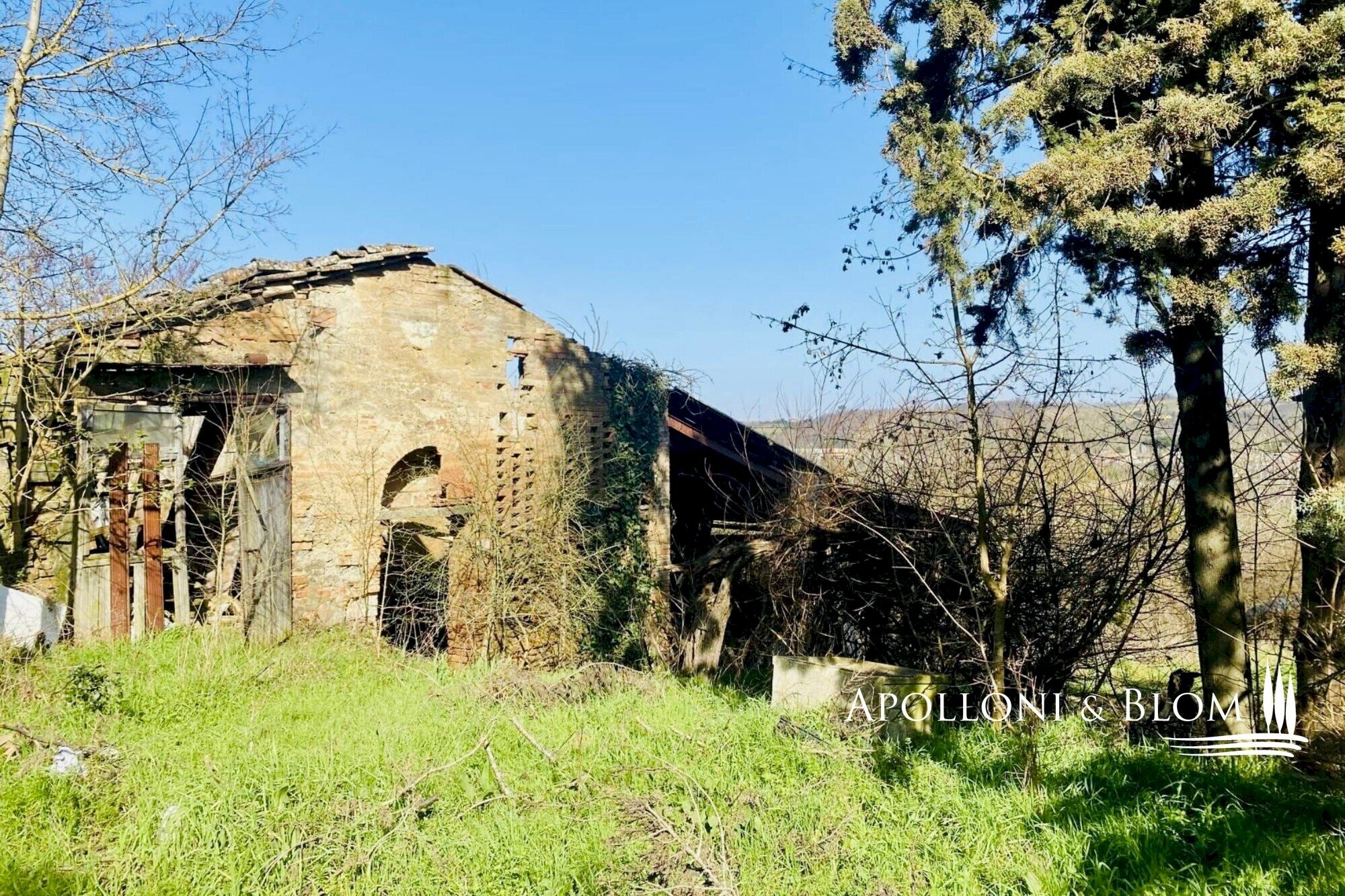 Rustic San Galgano, 76, San Gimignano - photo 3