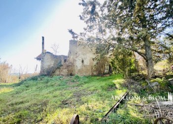 Rustic San Galgano, 76, San Gimignano - photo 5