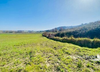 Rustic San Galgano, 76, San Gimignano - photo 8