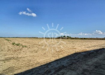 Farmhouse Budrio - photo 33