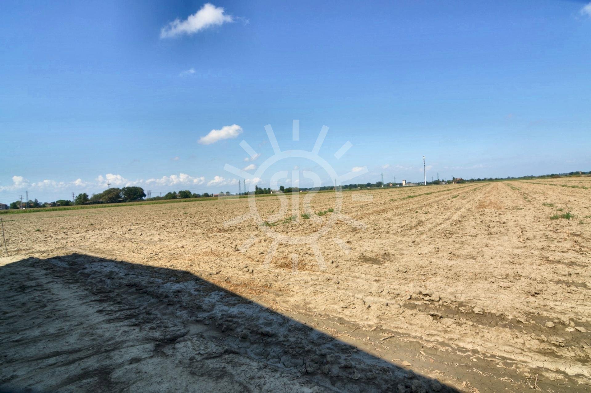 Agricultural land Budrio - photo 1