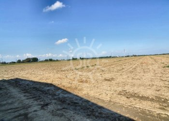 Agricultural land Budrio - photo 1