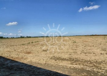 Agricultural land Budrio - photo 2