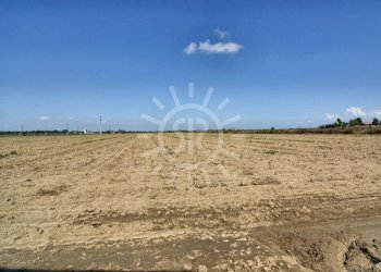 Agricultural land Budrio - photo 3