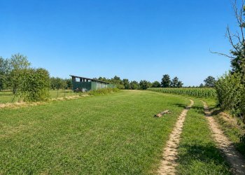 Casa indipendente Sommariva del Bosco - foto 22
