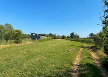 Casa indipendente Sommariva del Bosco - foto 23