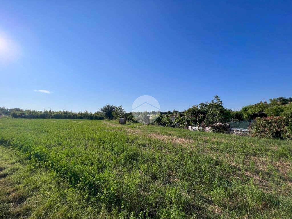 Terreno agricolo Via S. Andrea, Misano Adriatico - foto 1