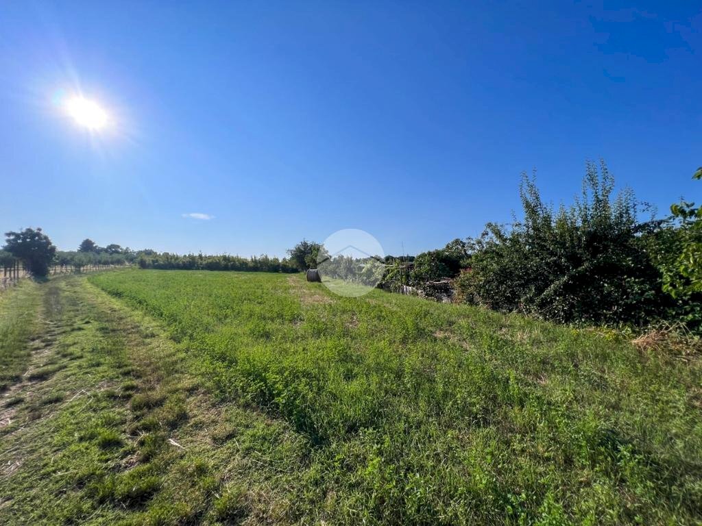 Terreno agricolo Via S. Andrea, Misano Adriatico - foto 2