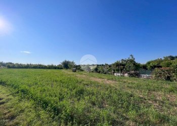 Terreno agricolo Via S. Andrea, Misano Adriatico - foto 1