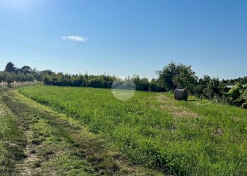 Terreno agricolo Via S. Andrea, Misano Adriatico - foto 4