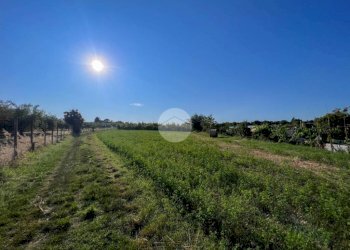 Terreno agricolo Via S. Andrea, Misano Adriatico - foto 7