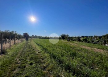 Terreno agricolo Via S. Andrea, Misano Adriatico - foto 9