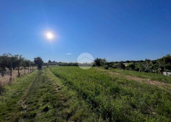 Terreno agricolo Via S. Andrea, Misano Adriatico - foto 10