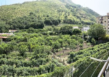 Appartamento Via Lucio Calpurnio, 4, frazione Arco Felice, Pozzuoli - foto 18
