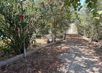 Semi-detached house Vicolo Palermo, Sezzadio - photo 5