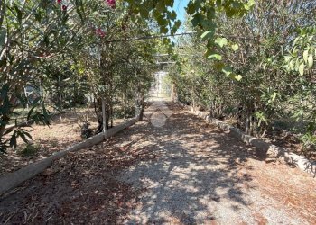 Semi-detached house Vicolo Palermo, Sezzadio - photo 12