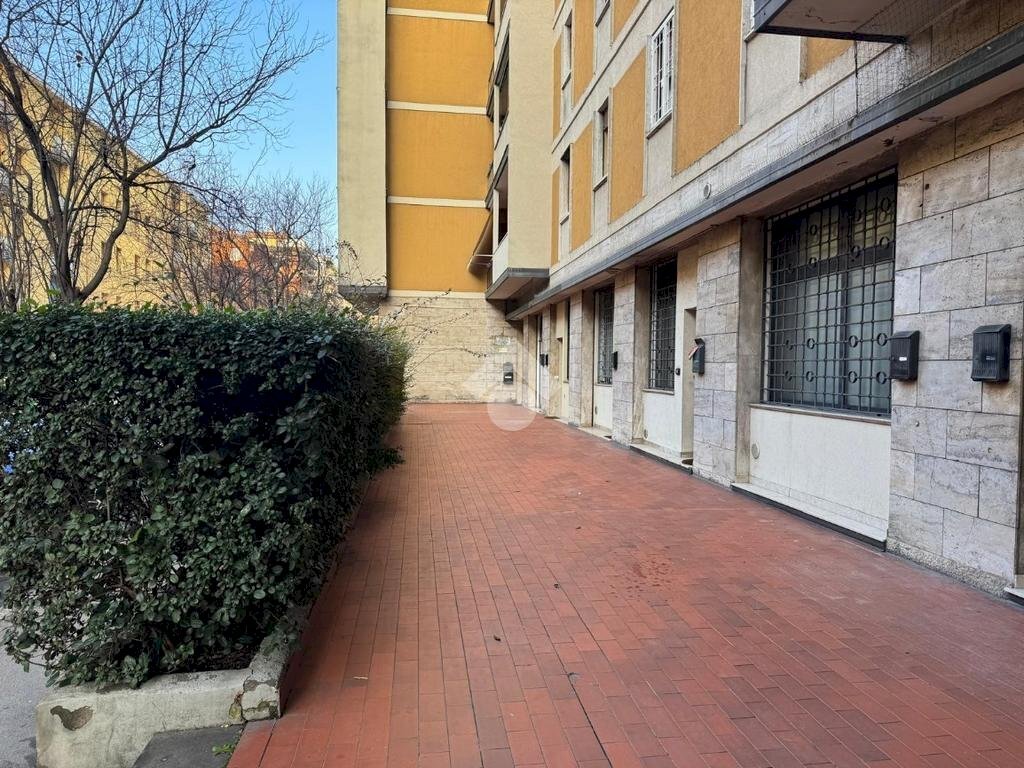 Trilocale Via Ermete Zacconi, Bologna (zona San Donato) - foto 2
