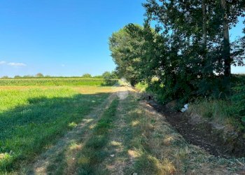 Terreno agricolo Via V.Veneto, Corbetta - foto 4