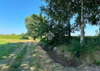 Terreno agricolo Via V.Veneto, Corbetta - foto 6