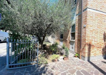 Casa indipendente Via quattro novembre, Meldola - foto 2