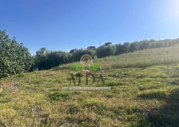 Foto 57 - Casa indipendente Via Sant'Andrea, Campli - foto 57