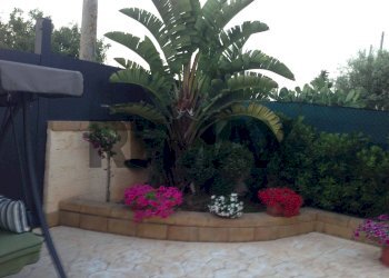 Giardino - Independent house Via Edera (Lido di Noto)
 
snc, Noto - photo 17