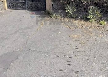 Non correlato - Terreno edificabile Via San Michele Arcangelo
1, Sant'Agata Li Battiati - foto 4