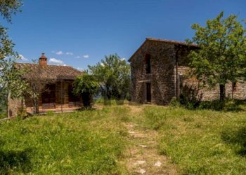 Casa all\'aperto - Rustico Località Casignano
81, Cavriglia - foto 13