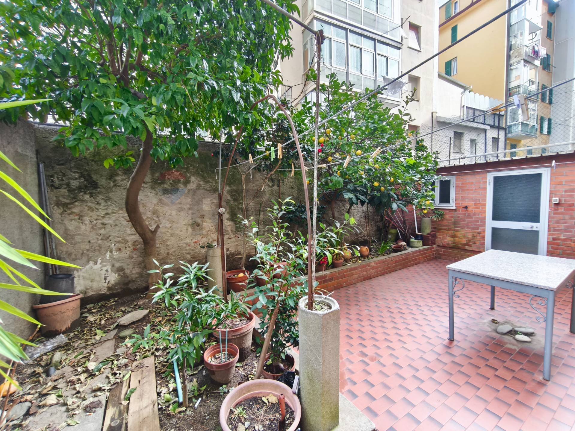 Terrazza - Appartamento Via Doninzetti
 
8, Savona - foto 3