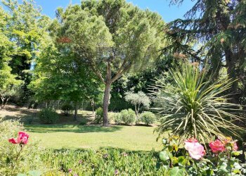 Giardino - Villa Strada della Madonnetta
 
74, Ancona - foto 40