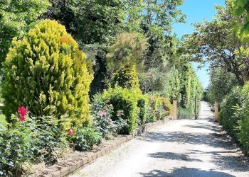 Giardino - Villa Strada della Madonnetta
 
74, Ancona - foto 61