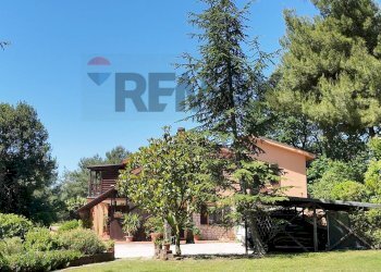 Giardino - Villa Strada della Madonnetta
 
74, Ancona - foto 42
