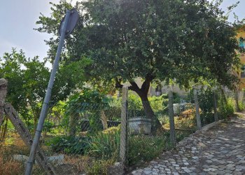 Foto 5 - Casa semi indipendente Via Santa Susanna
 
1, Mombaroccio - foto 5
