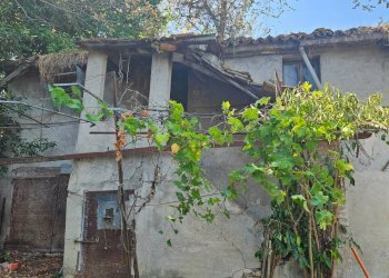 Foto 6 - Rustic Via Sant' Agostino
 
5, Terre Roveresche - photo 6