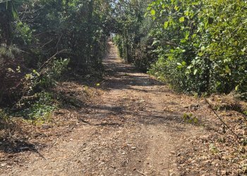 Foto 11 - Rustic Via Sant' Agostino
 
5, Terre Roveresche - photo 11