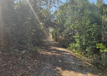 Foto 13 - Rustic Via Sant' Agostino
 
5, Terre Roveresche - photo 13